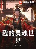 我的灵魂世界